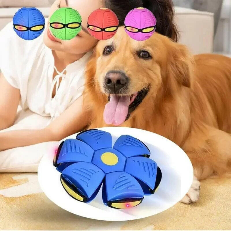 "Interactive Outdoor Dog Flying Saucer Ball for Sports Training and Play"