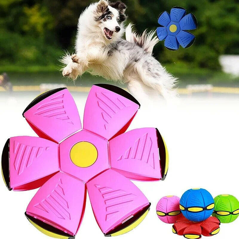 "Interactive Outdoor Dog Flying Saucer Ball for Sports Training and Play"